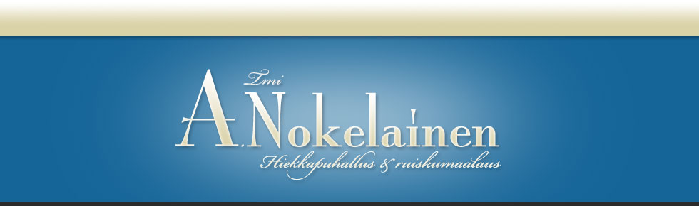 Tmi A. Nokelainen hiekkapuhallus ja ruiskumaalaus